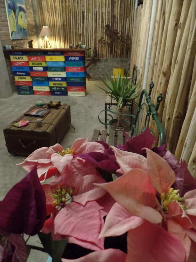The Upcycled Hostel Huacachina Ica Extérieur photo